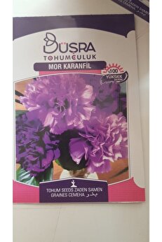 Büşra Mor Karanfi̇l Çi̇çek Tohumu %100 Veri̇mli̇