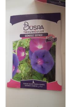 Büşra Gündüz Sefası Çi̇çek Tohumu %100 Veri̇mli̇