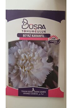 Büşra Beyaz Karanfi̇l Çi̇çek Tohumu %100 Veri̇mli̇