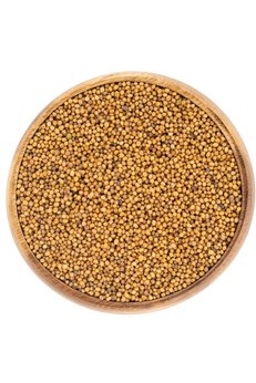 Aktar Store Sarı Hardal Tohumu 50 Gr