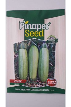 Pi̇naper Seed Kabak Beyaz Tohumu 1 Paket %100 Yüksek Veri̇mli̇di̇r.