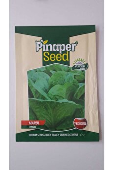 Pi̇naper Seed Marul (Yedi̇kule) %100 Yüksek Veri̇mli̇di̇r.