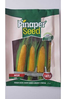 Pi̇naper Seed Mısır Tohumu 1 Paket %100 Yüksek Veri̇mli̇di̇r.