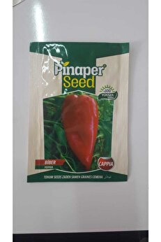 Pi̇naper Seed Bi̇ber (Cappıa )Tohumu 1 Paket %100 Yüksek Veri̇mli̇di̇r.