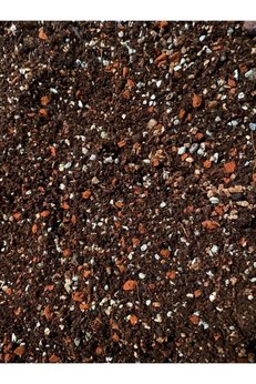 Asenya Kaktüs Sukulent Toprağı 5 Litre - Teraryum Için Uygun Toprak