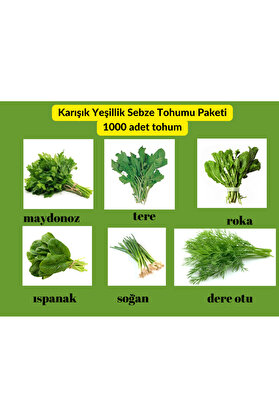 Bade Shop Yeşillik Sebze Tohum Paketi - 6 Çeşit Tohum Maydanoz, Tere, Roka, Dereotu ,Soğan,Ispanak 1000 Adet