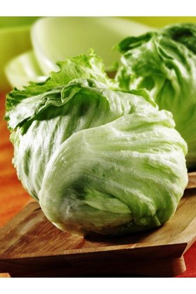 Erdem Garden Yerli Doğal Göbek Marul (Iceberg) Tohumu 100 Ad. Tohum