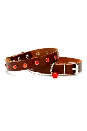 Bi̇lfold Taşlı Kedi̇ Ve Yavru Köpek Tasması 1,2X26 Cm Kahverengi̇ Large