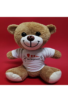 Evi̇mdeyokyok Seni̇ Sevi̇yorum Temalı Peluş Ayıcık