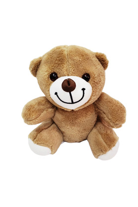 Evi̇mdeyokyok Sevi̇mli̇ Peluş Ayi̇ci̇k