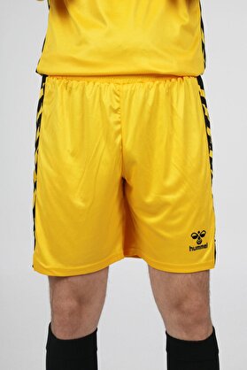 Hummel Royal Kaleci̇ Şortu Sarı