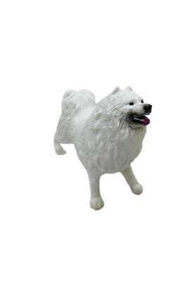 Pazarcan Köpekler - Samoyed Cinsi - 1 Adet