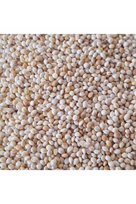 Bade Shop 200 Gr - Kuş Yemi Ak Darı Beyaz Darı - (Akdarı)