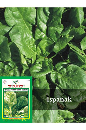 Arzuman Tohum Ispanak Tohumu (Geniş Yaprak) 10gr