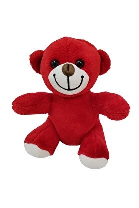 Evi̇mdeyokyok Peluş Oyuncak Ayı