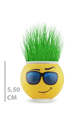 Ethab Ticaret Glbl-Tstil4136 Çim Adam Saksı Emoji Figürlü 1 Adet