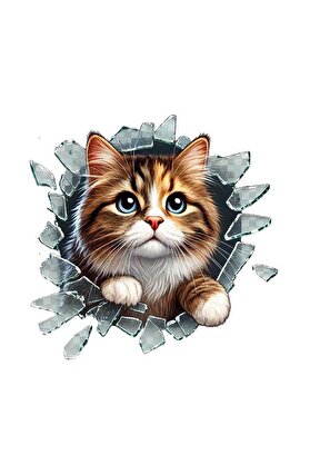Ethab Ti̇caret Fulcar Stray Araç Sti̇ckerı