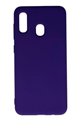 CepteToptan Samsung Galaxy A20 Kılıf Nano içi Kadife Silikon - Mor - DROPX6585-5770