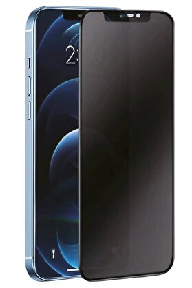 CepteToptan iPhone 14 Pro 3D Antistatik Hayalet Cam Ekran Koruyucu - DROPX8999-7555