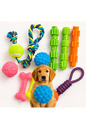 TRENDMEN Köpek Oyuncak Seti – Halat, Çiğneme Kemik, Top ve Diş Temizleyici Çubuk (6’lı Paket)