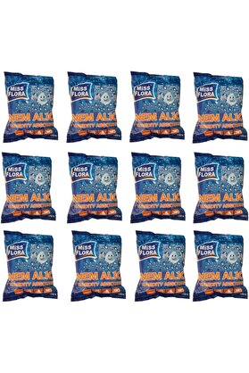 STOREMAX modashine Flora Nem Alıcı 450 G Yedek 12'li Paket modascope 1014773