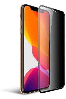 STOREMAX 11 Ekran Gizli Hayalet Cam 9D Tam Kaplama (siyah) 1014773