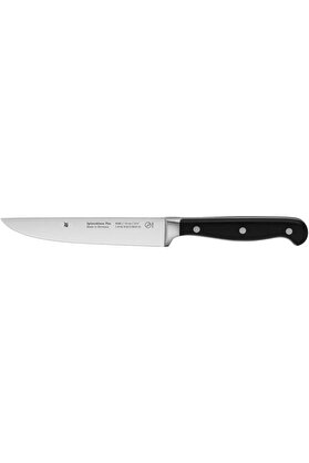 STOREMAX modashine Spitzenklasse Çok Amaçlı Bıçak 14 cm modascope 1014773