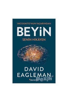 Domingo Yayınevi Beyin