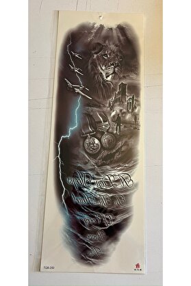 Ai̇rbrush Tattoo Aslan Uçak 1 Hafta Kalıcı Tam Kol Bacak Yapıştırma Geçi̇ci̇ Dövme 46 Cm