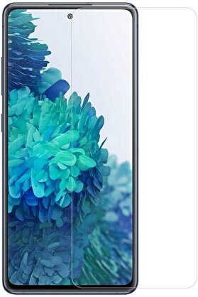 STOREMAX S20 FE uyumlu Maxi Glass Temperli Cam Ekran, Şeffaf