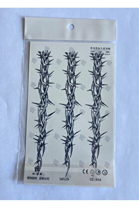 Ai̇rbrush Tattoo Di̇kenli̇ Teller 18X11 Cm Yarı Kalıcı Geçi̇ci̇ Dövme