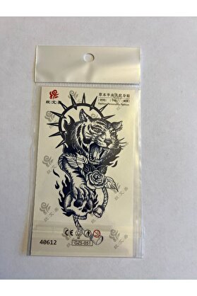 Ai̇rbrush Tattoo Kaplan Mi̇ni̇mal Yarı Kalıcı Hayalet Geçi̇ci̇ Dövme Yapıştırma Dövme