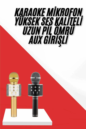 Küçük Hazine Karaoke Mikrofon Dahili Hoparlörlü Sd-Usb-Aux Girişli Hoparlör