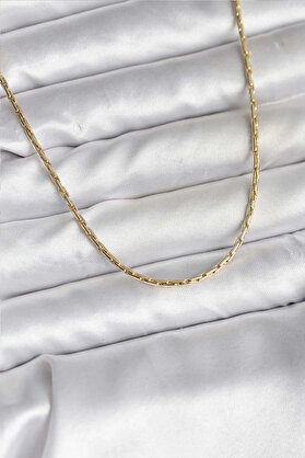 Clari̇ss 14K Gold Renk Kaplama İnce Zi̇nci̇r Model Cm Kadın Kolye
