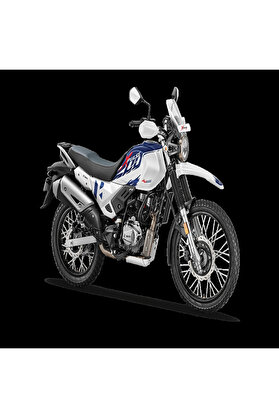 Ngk Buji̇ Hero Xpulse 200 4V Tüm Model Yılları