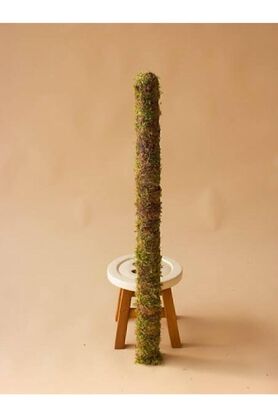 bitkicim Bitki Destek Çubuğu 60cm