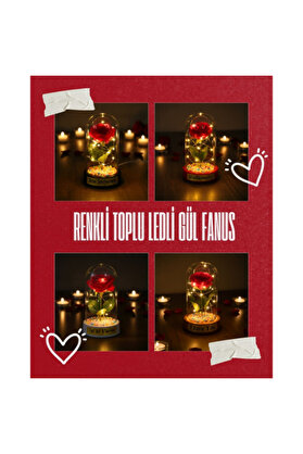 Ethab Ticaret Glbl-Tstil4136 Renkli Toplu Ledli Gül Fanus