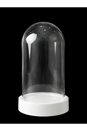 rkm store Teraryum Fanus Ters Mika Fanus Plastik Beyaz Tabanlı Şeffaf
