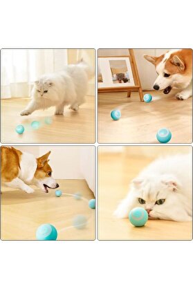 Ethab Ticaret Glbl-Tstil4136 İnteraktif Kedi Köpek Şarjlı Oyun Topu