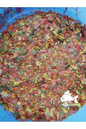 Genel Markalar Lepistes Kılıç Molly Tetra Tropikal ve Canlı Doğuran Balık Yemi Karışık 100 gram