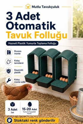 MUTLU TAVUKÇULUK Otomatik Folluk Tavuk Folluğu 3 Adet Duvara Monte Yumurtalık Hazneli Plastik Yumurta Toplama Folluğu