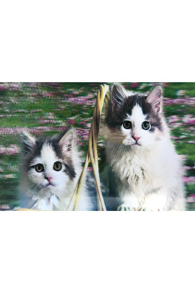 Evi̇mdeyokyok 3 Boyutlu Resi̇m Sevi̇mli̇ Kedi̇ler İki̇li̇ Kedi̇ Resmi̇ Tablosu 40X60 Cm