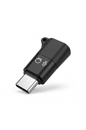 Evimdeyokyok Type-C Kulaklık Mikrofon Ses Adaptörü Siyah Hdx1085
