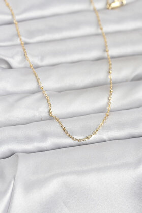 Ethab Giyim Cm 14K Gold Renk Burgu Model 60 Cm Kadın Kolye 5886 - Glst6707-1200