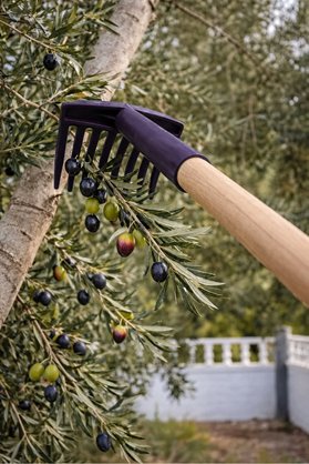 Genel Markalar Plastik 1 Adet Zeytin Toplama Tırmığı