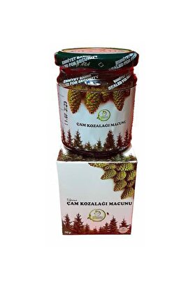Herbary Şifaana Çam Kozalak Macunu 240 Gram 1 Kutu