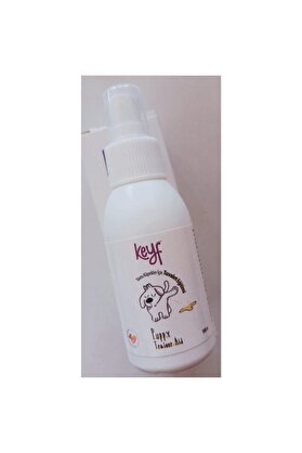 Keyf Çi̇ş Eği̇ti̇m Damlası 100 Cc (Yavru Köpekler Içi̇n Tuvalet Eği̇ti̇mi̇)