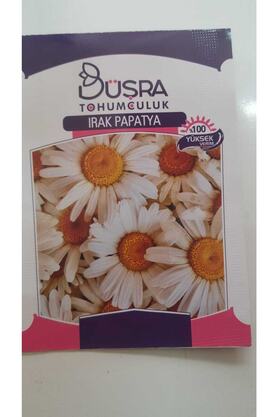 Büşra Papatya Çi̇çek Tohumu %100 Veri̇mli̇