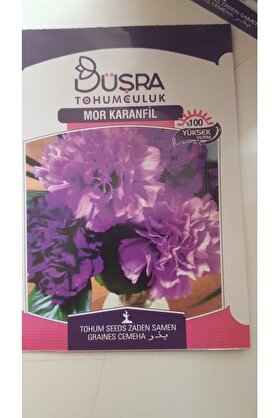 Büşra Mor Karanfi̇l Çi̇çek Tohumu %100 Veri̇mli̇