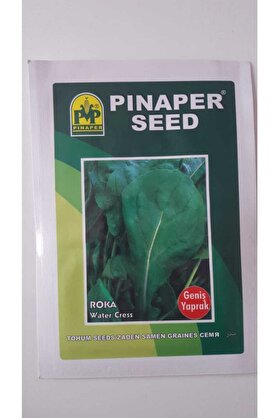 Pi̇naper Seed Roka (Geni̇ş Yaprak ) Tohumu %100 Yüksek Veri̇mli̇di̇r.